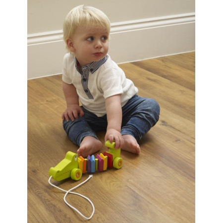 Κροκόδειλος Παιχνίδι ώθησης Orange Tree Toys