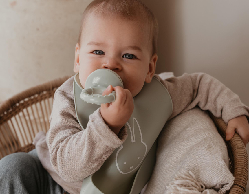 Τροφοδότες Φαγητού με Καπάκι Miffy Green KOKO