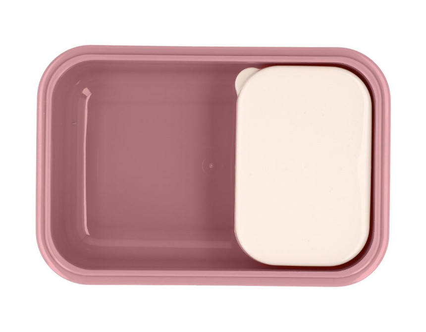 Φαγητοδοχείο Bento Blossom Birds Tutete