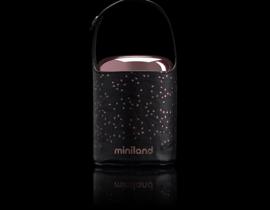 Food thermos deluxe mini roze ML89356