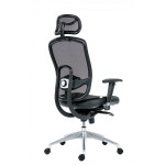 Oklahoma PDH Executive Armchair Black*
