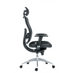 Oklahoma PDH Executive Armchair Black*