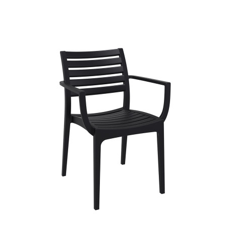 Artemis/PL* Armchair Black