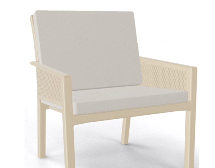 Minush/L* Cushion