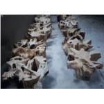 Root/T-L coffee table Φ70xY.45cm