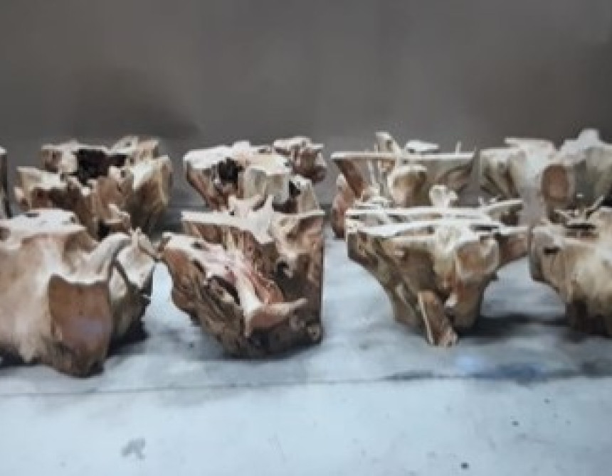Root/T-L coffee table Φ90xY.45cm