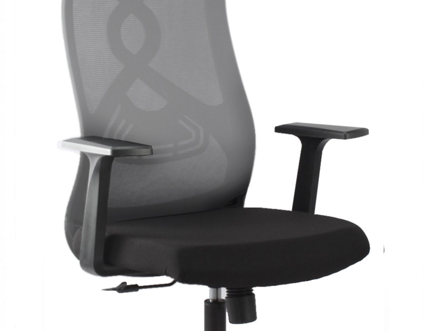 Alister Office Armchair Grey*