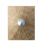 Umbrella Cane Φ215cm*