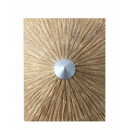 Umbrella Cane Φ215cm*