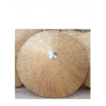 Umbrella Cane Φ215cm*