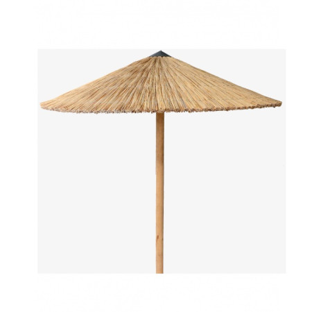 Umbrella Cane Φ215cm*