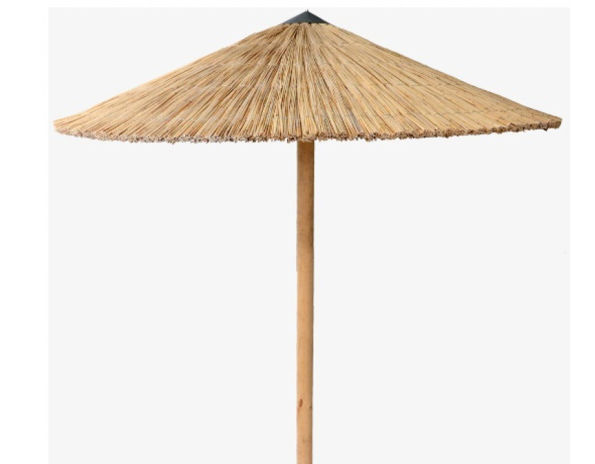 Umbrella Cane Φ215cm*