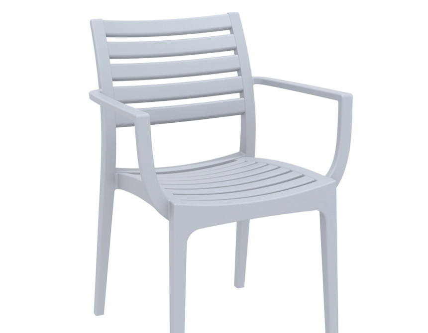 Artemis/PL* Armchair Silver