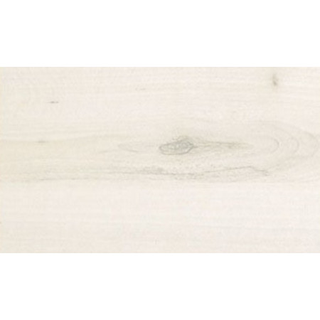 Table Top 120x80cm Tilia Tree