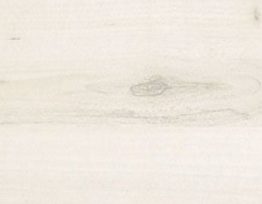 Table Top 120x80cm Tilia Tree