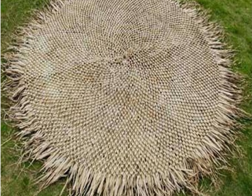 Fun Palm Cover Knotted